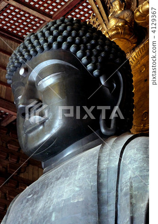 Head of Todaiji Great Buddha's head up 4129367