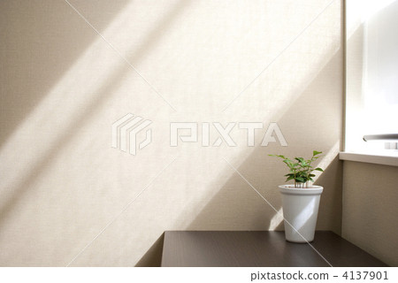 foliage plant, counter, countertop 4137901