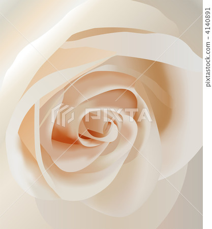 vector white rose closeup vector white rose closeup 4140891
