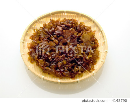 銀杏草別名：佛耳 4142790