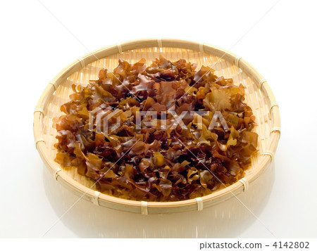 銀杏草別名：佛耳 4142802