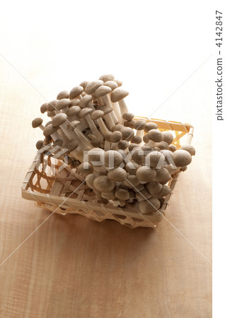 離褶傘 離褶傘 4142847