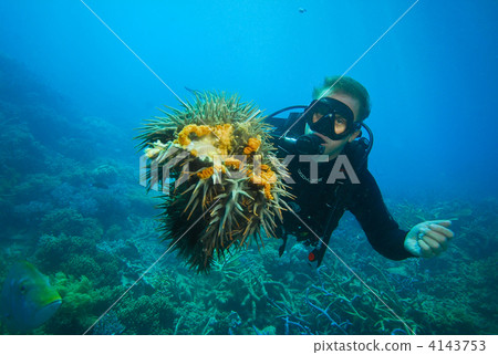 惡魔海星滅絕 4143753