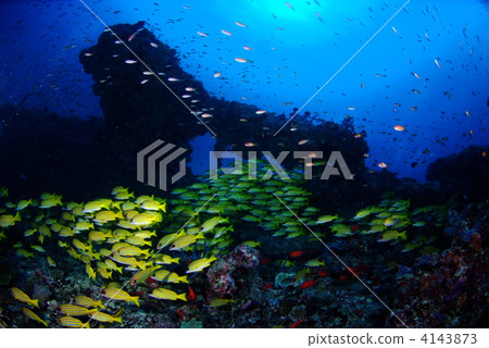 Yosugefedai群 4143873