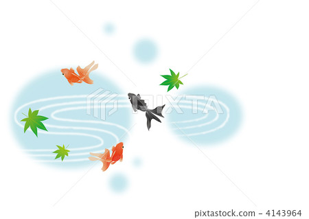 金魚 - 03■金魚·Wadaikki·流動性·波·楓·楓·夏天圖像 金魚 - 03■金魚·Wadaikki·流動性·波·楓·楓·夏天圖像 4143964