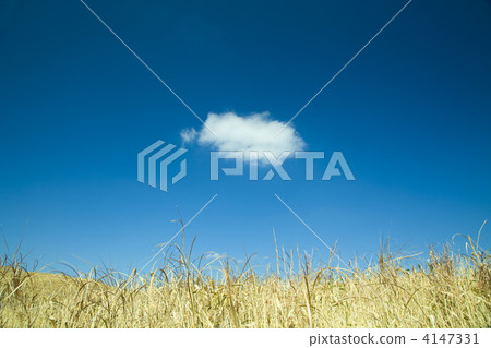 Dead grass and one cloud Dead grass and one cloud 4147331