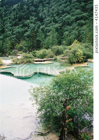 黃桐專用遊客池塘 4147435