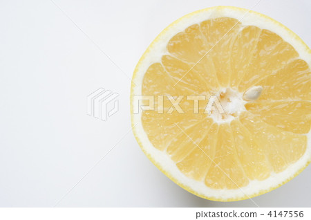 grapefruit grapefruit 4147556