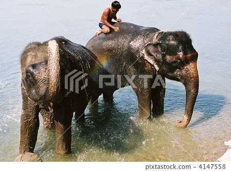 彩虹-1 彩虹-1 4147558