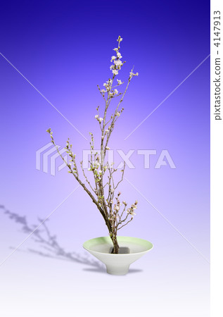 mountain cherry, ikebana (floral arrangement), sakura 4147913