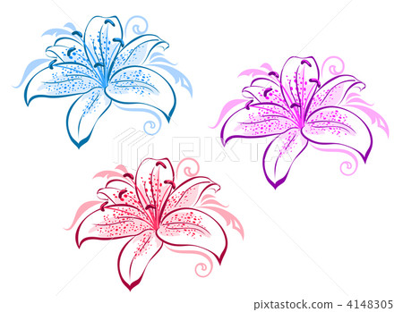 Lily flowers Lily flowers 4148305