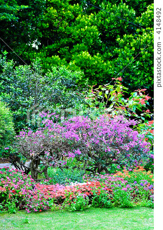 一個私有房子的庭院在一個熱帶國家 4148492