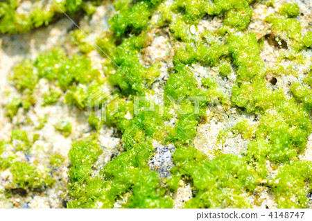 Natural Aosha Natural Aosha 4148747