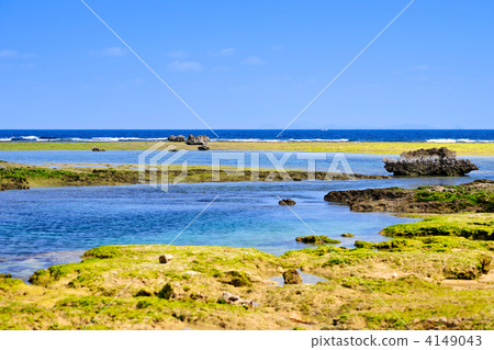 熱帶海洋退潮 4149043