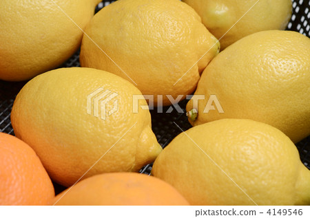 檸檬 檸檬 4149546