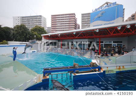Shinagawa Aquarium 4150193