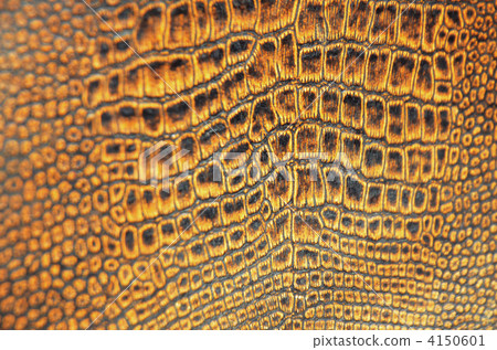 Serpent pattern Serpent pattern 4150601