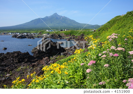 利尻富士 4151900