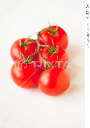 Tomato   4152404