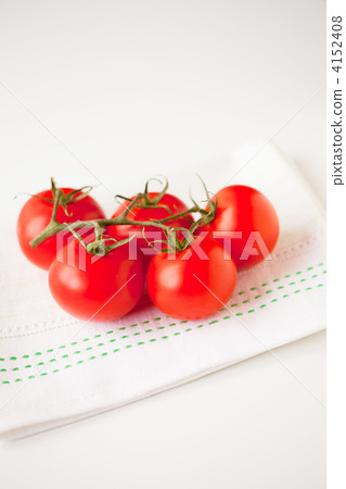 Tomato Tomato 4152408