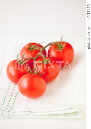 Tomato Tomato 4152413