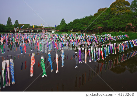 lake tatara, tsutsujigaoka park, world carp village festival 4153268