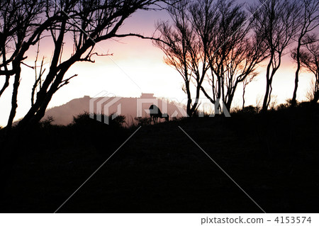 Evening of Mt. Tanzawa Evening of Mt. Tanzawa 4153574