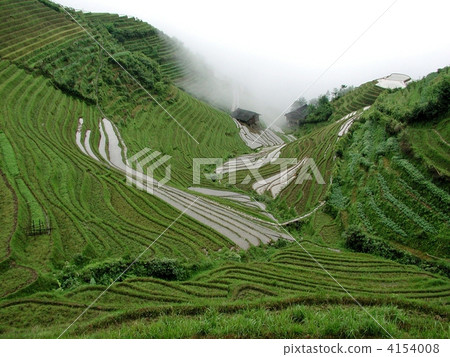 Ryūgoku rice terrace Ryūgoku rice terrace 4154008