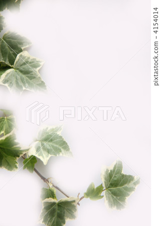 botanic, botanical, vegetative 4154014