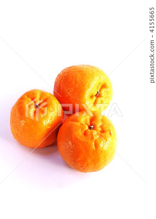 春天味道Ponkan垂直位置 4155665