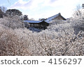 東福寺 4156297
