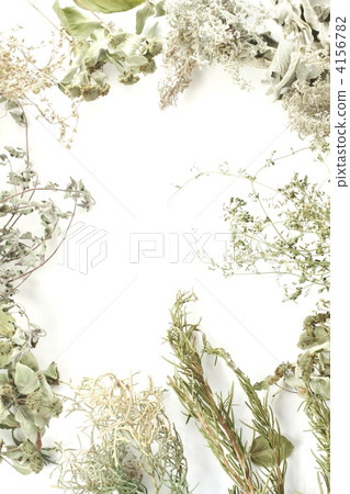 Align dry and herbs Align dry and herbs 4156782