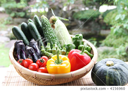 Summer vegetables · Harvest 01 4156960