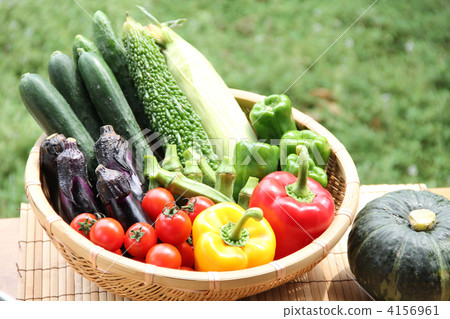 Summer vegetables · Harvest 02 4156961