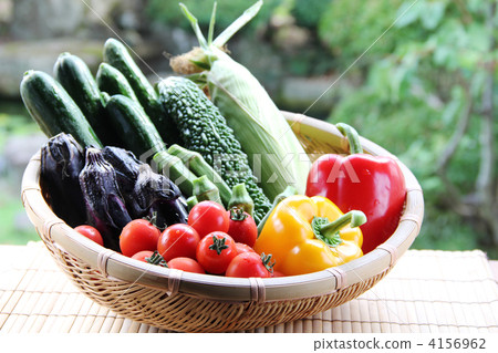 Summer vegetables · Harvest 03 4156962