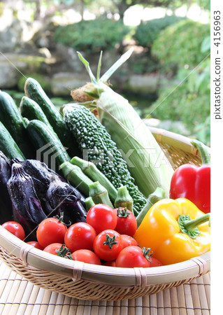 Summer vegetables · Harvesting vertical 01 4156963