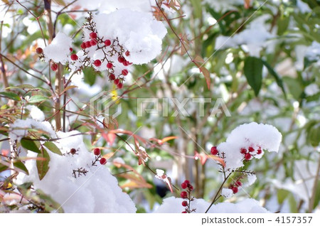 Snow in the south Snow in the south 4157357