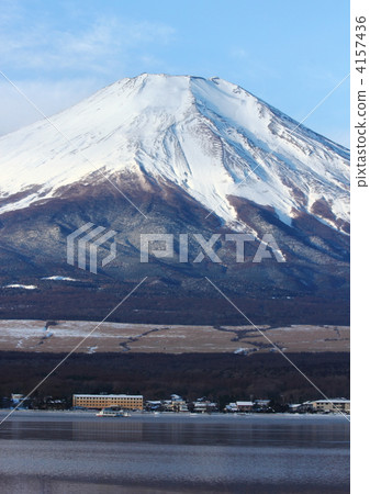 富士高子（山中湖子富士觀） 4157436