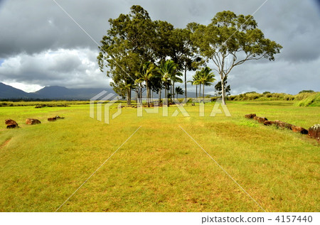 瓦希瓦的誕生石 4157440