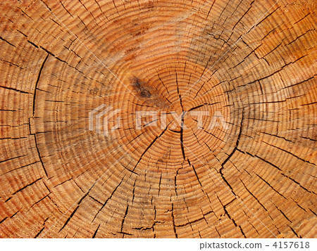 樹墩 年輪 木材背景 4157618
