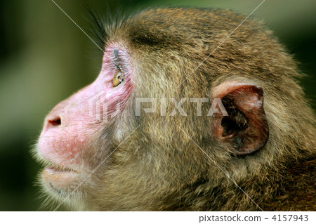 Before you stare at ... Before you stare at ... 4157943