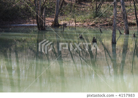 Hachioji Nagaike Park Hachioji Nagaike Park 4157983