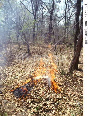 Bonfire 4158091