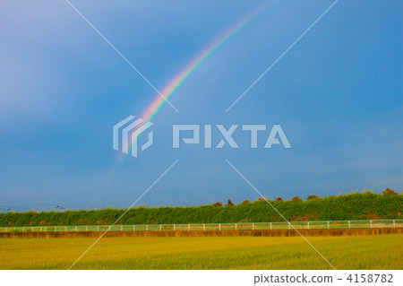 雨後的風景 4158782
