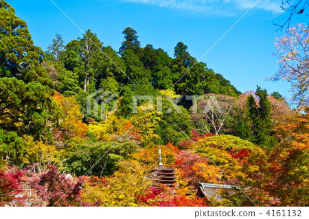 Autumn leaves of Shishiyama Shrine 4161132