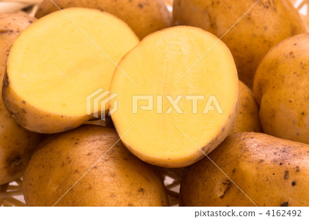 Potato varieties awaiting the Inca 4162492
