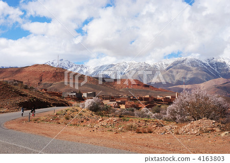 Morocco Atlas Mountains From Ouarzazate to Marrakech Auto Atlas Almond Flower 4163803