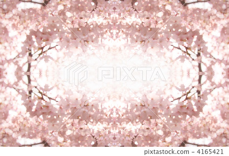 Sakura frame illustration style - Stock Illustration [4165421] - PIXTA