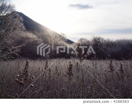 senjogahara, oku-nikko, tochigi 4166563