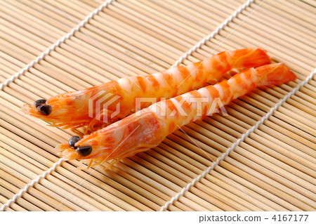 蝦頭 海鮮 海產品 4167177